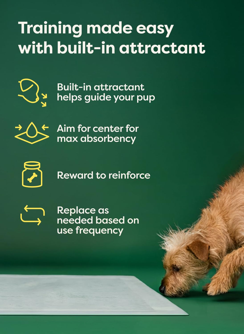 Earth Rated empaque con sello B Corp y materiales responsables, confianza ética