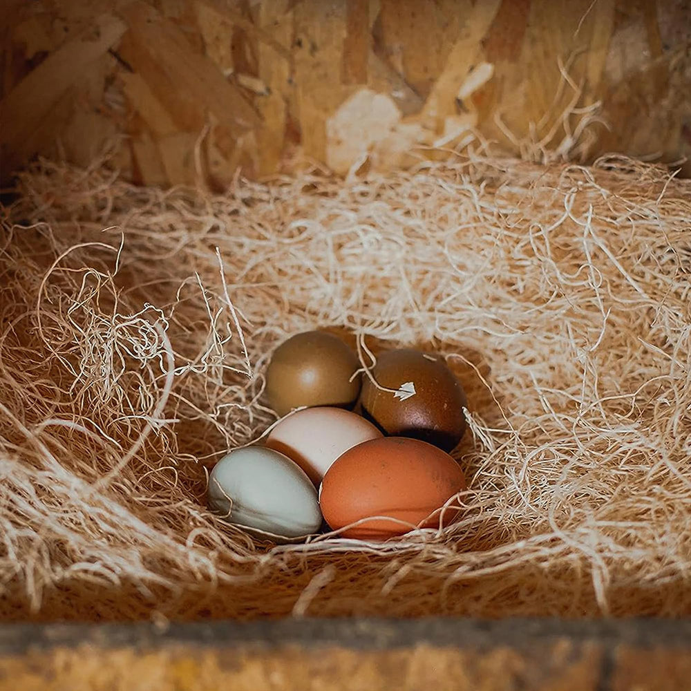 Eaton Pet and Pasture pad placed in backyard coop setting showing tidy nest and easy use benefit