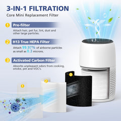 Ecleanfy detalle del filtro primario mostrando la estructura para capturar partículas