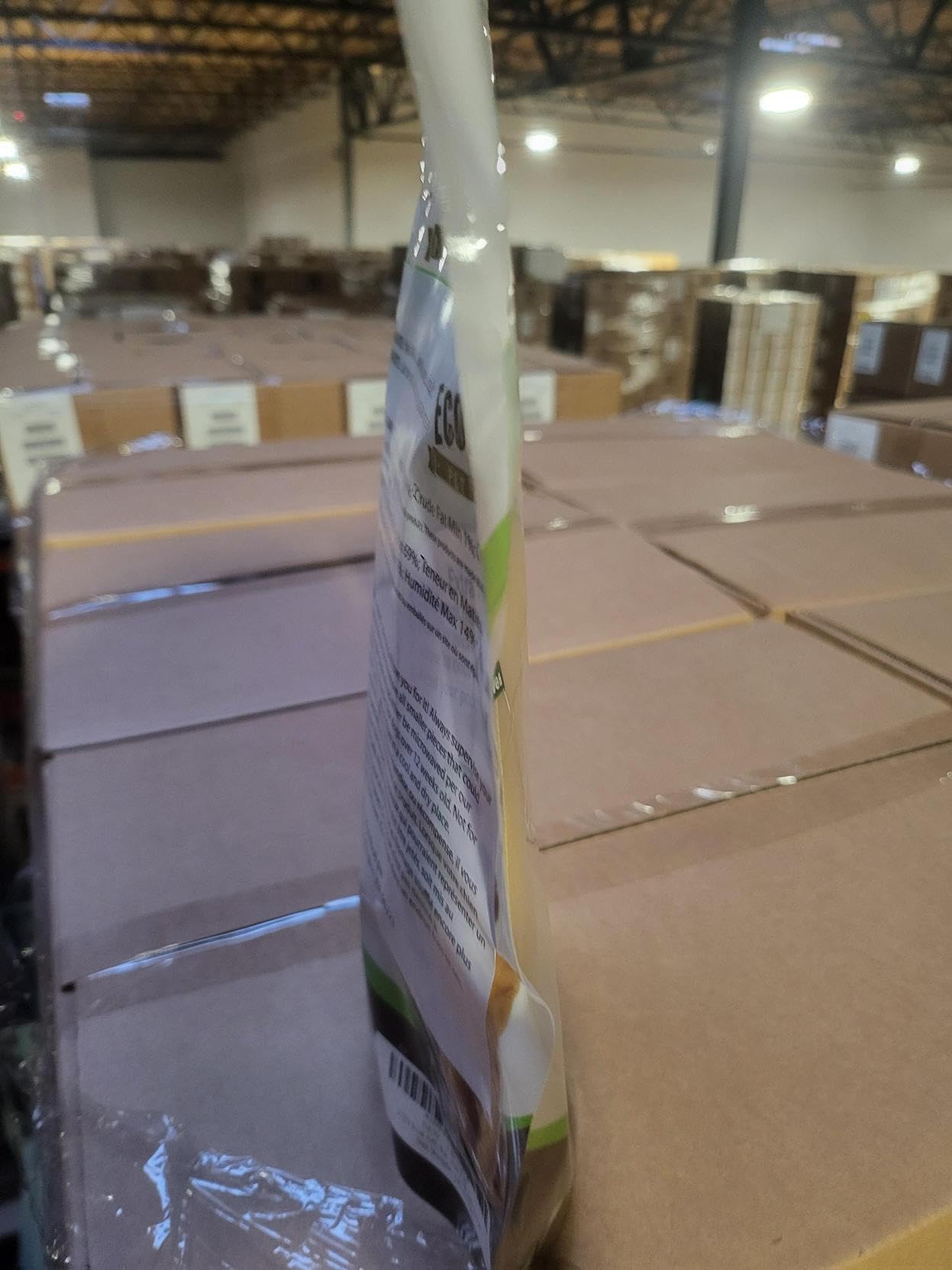 EcoKind presentación en caja para familias con varios perros