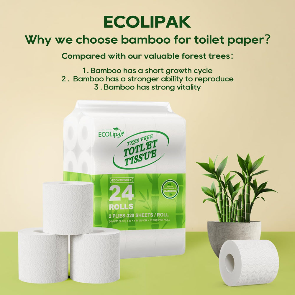 ECOLipak tallos de bambú y símbolo ecológico para impacto verde