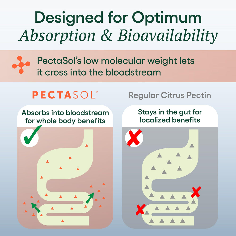 EcoNugenics PectaSol next to a ruler for visual size and serving comparison aiding portion planning