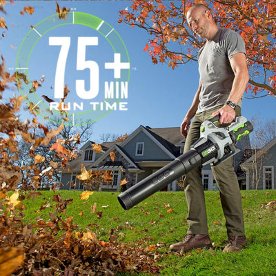 EGO Power+ blower clearing wet leaves on driveway — high CFM tackles debris