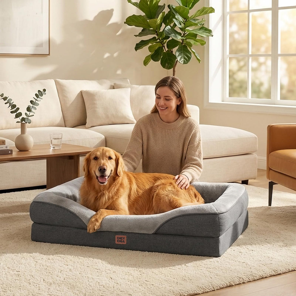 EHEYCIGA cama en sala de estar integrándose con decoración