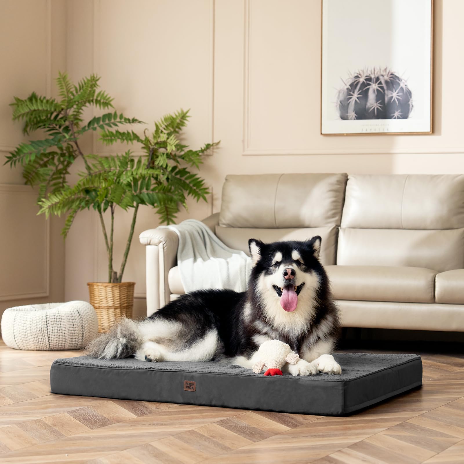 EHEYCIGA perro descansando en la cama ilustrando comodidad y soporte reales