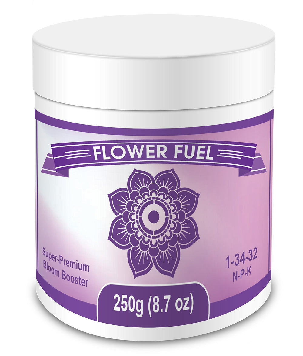 Element Nutrients front jar view showing clear label and product benefit