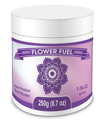 Element Nutrients front jar view showing clear label and product benefit