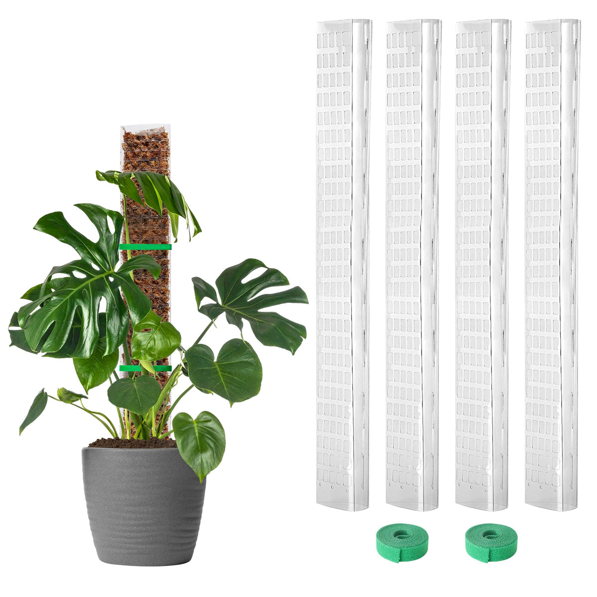 EOX front view of 4-pack 24-inch moss poles showing value and convenience