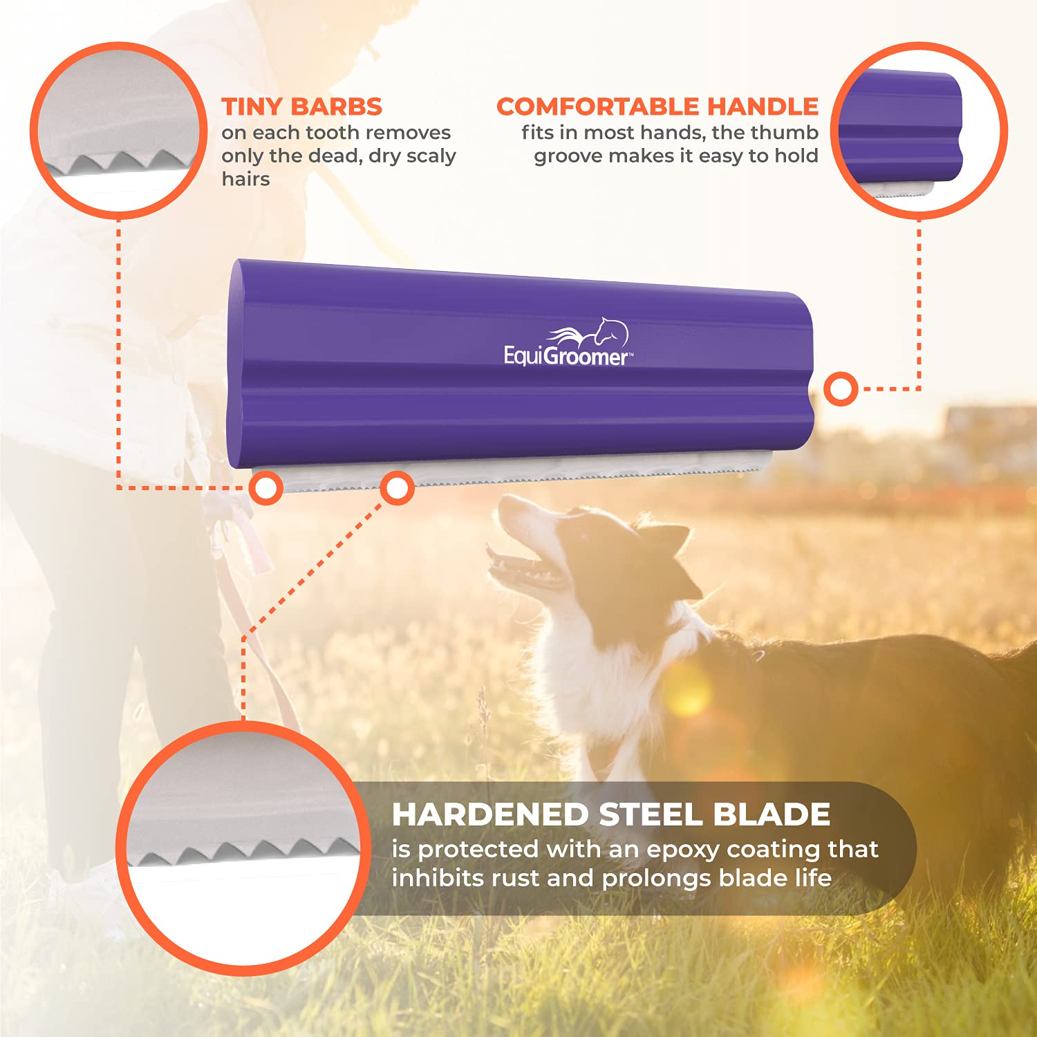 EquiGroomer in use on a small dog's leg for precise undercoat removal and comfort
