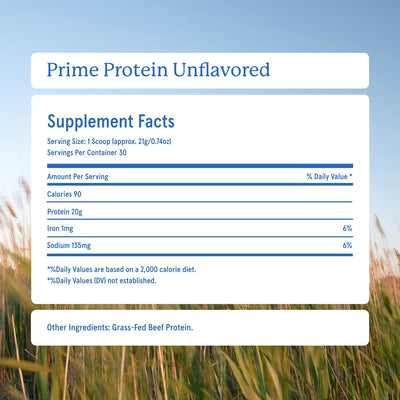 Equip postre proteico hecho con Prime Protein, opción nutritiva y sabrosa