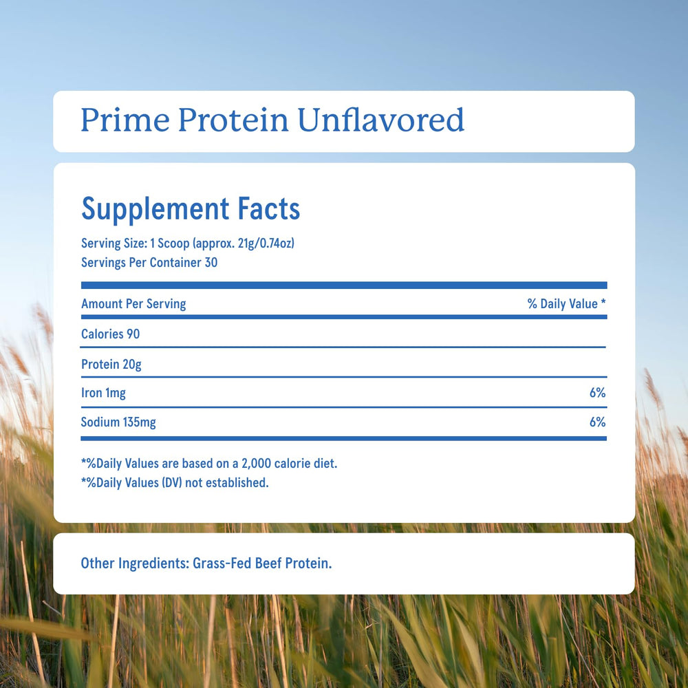 Equip postre proteico hecho con Prime Protein, opción nutritiva y sabrosa