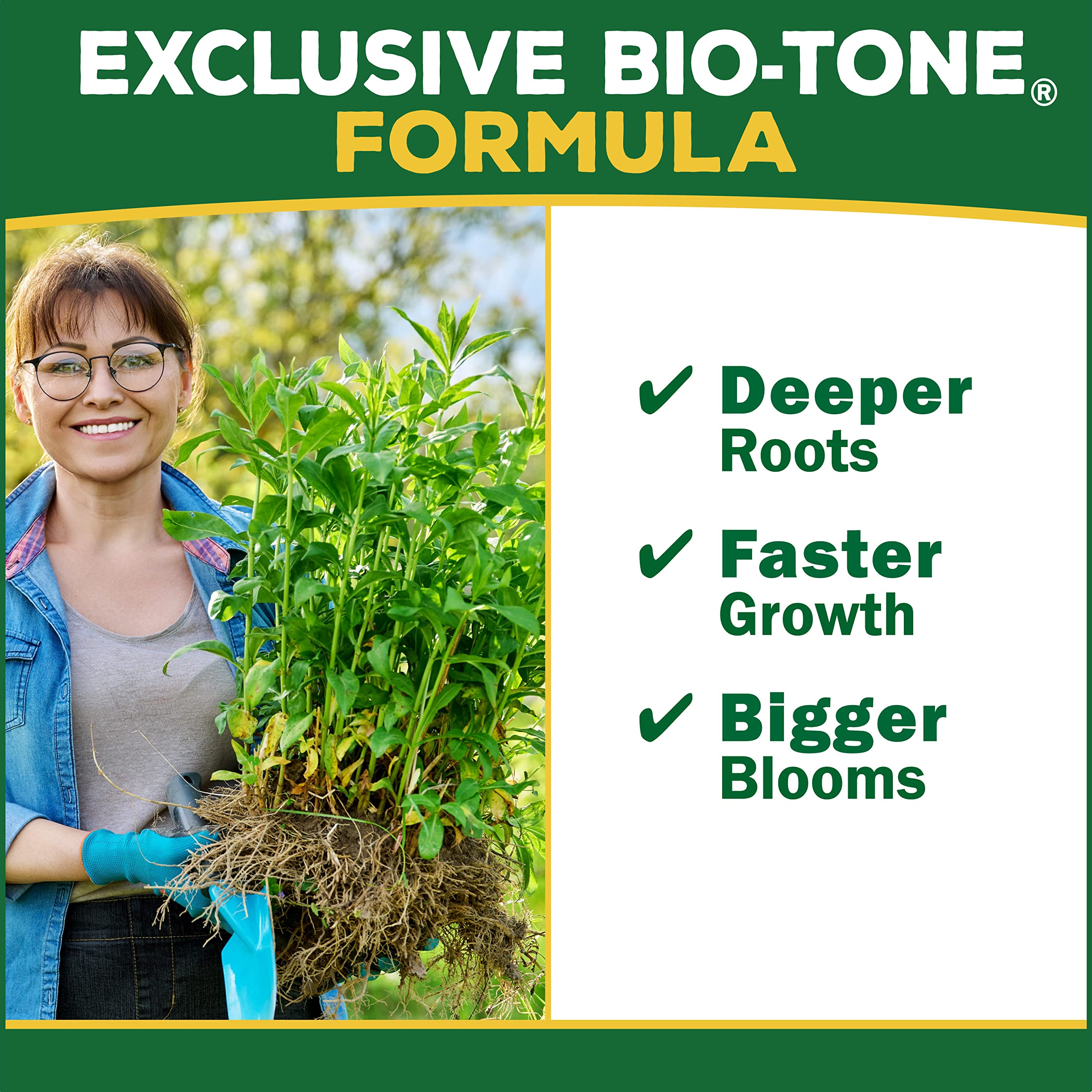 Espoma Berry-Tone usado en cultivo de fresas para mayor producción de frutos