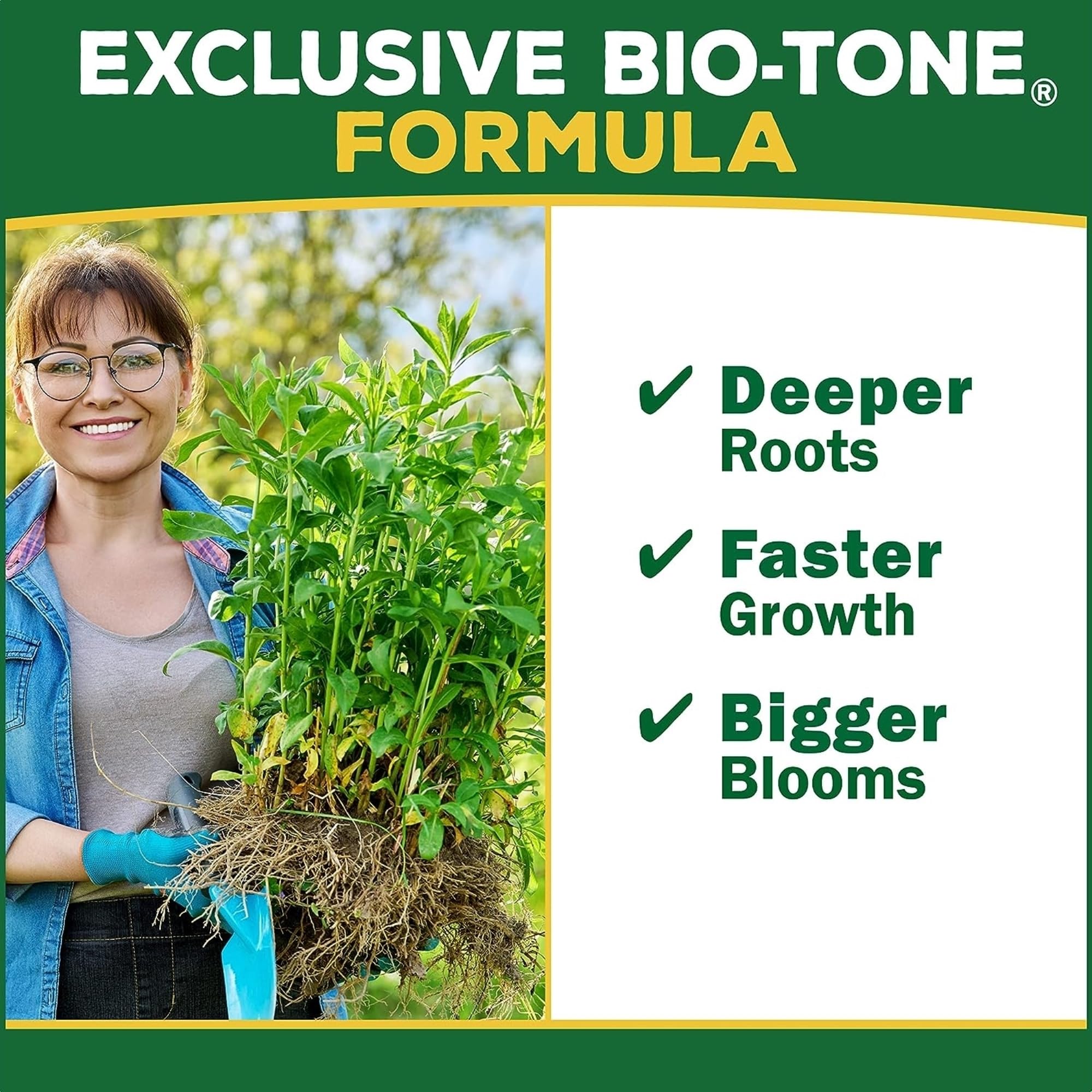 Espoma Holly-Tone usado en arbustos con flores abundantes y follaje sano
