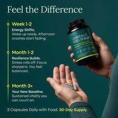 Etta Vita capsules in hand demonstrating size and daily dosing convenience