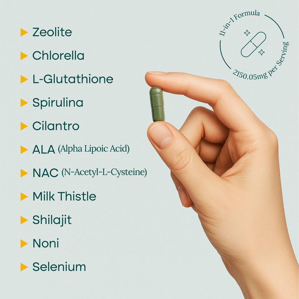 Etta Vita ingredients layout displaying key botanicals and antioxidant support