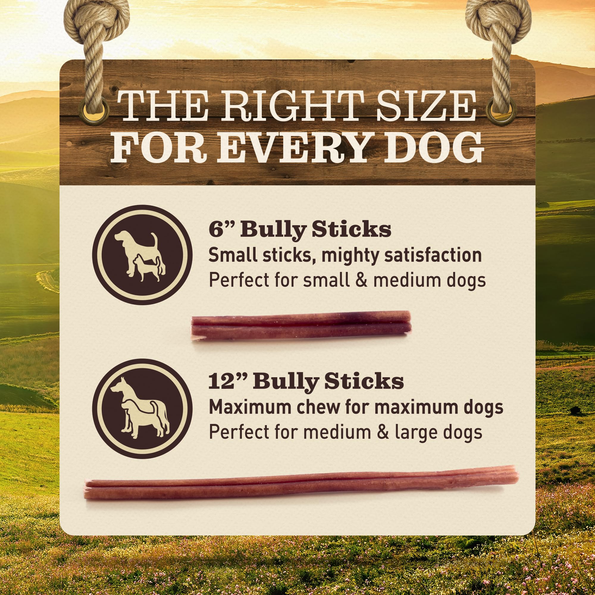 EVER FARM producto en sala con perro, masticable natural para momentos tranquilos