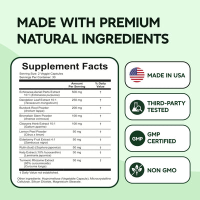 Evertide ingredients display with turmeric, echinacea, elderberry illustrating herbal blend benefits