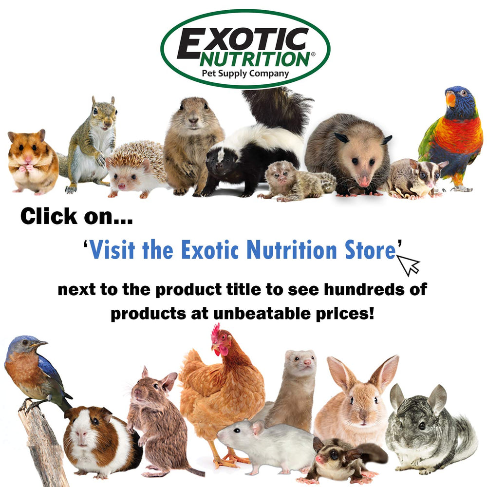 Exotic Nutrition cuidado de cría en entorno de rehabilitación práctico