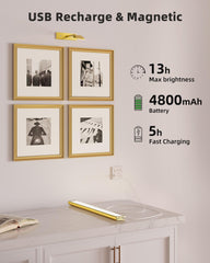 EZVALO lámpara montada sobre obra de arte mostrando mejor visibilidad y realce cromático