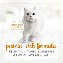 Fancy Feast lata abierta con contenido visible mostrando aspecto apetecible