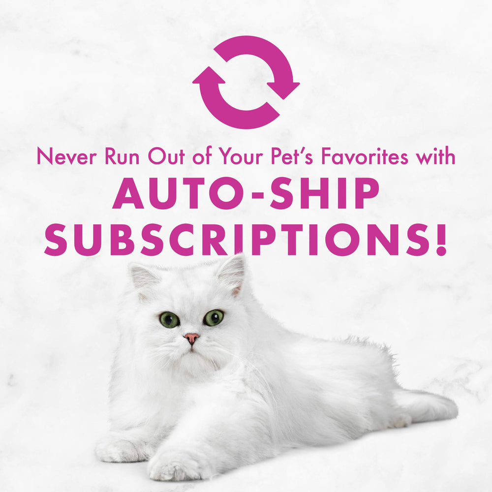 Fancy Feast servicio en plato elegante para momento de alimentación