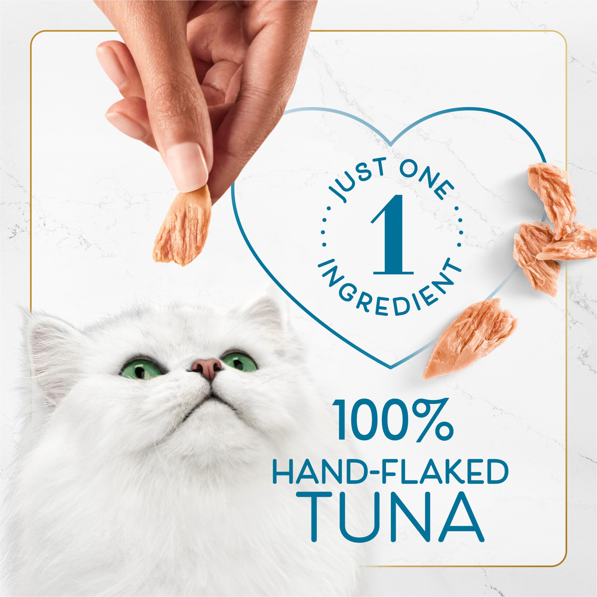 Fancy Feast primer plano de textura desmenuzada al vapor, atractiva para gatos