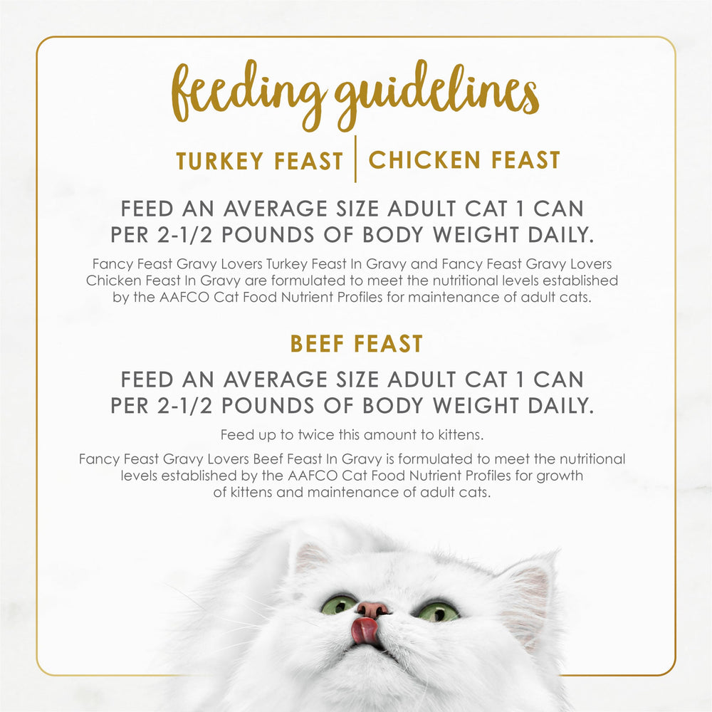 Fancy Feast lata junto a regla para comparar tamaño real