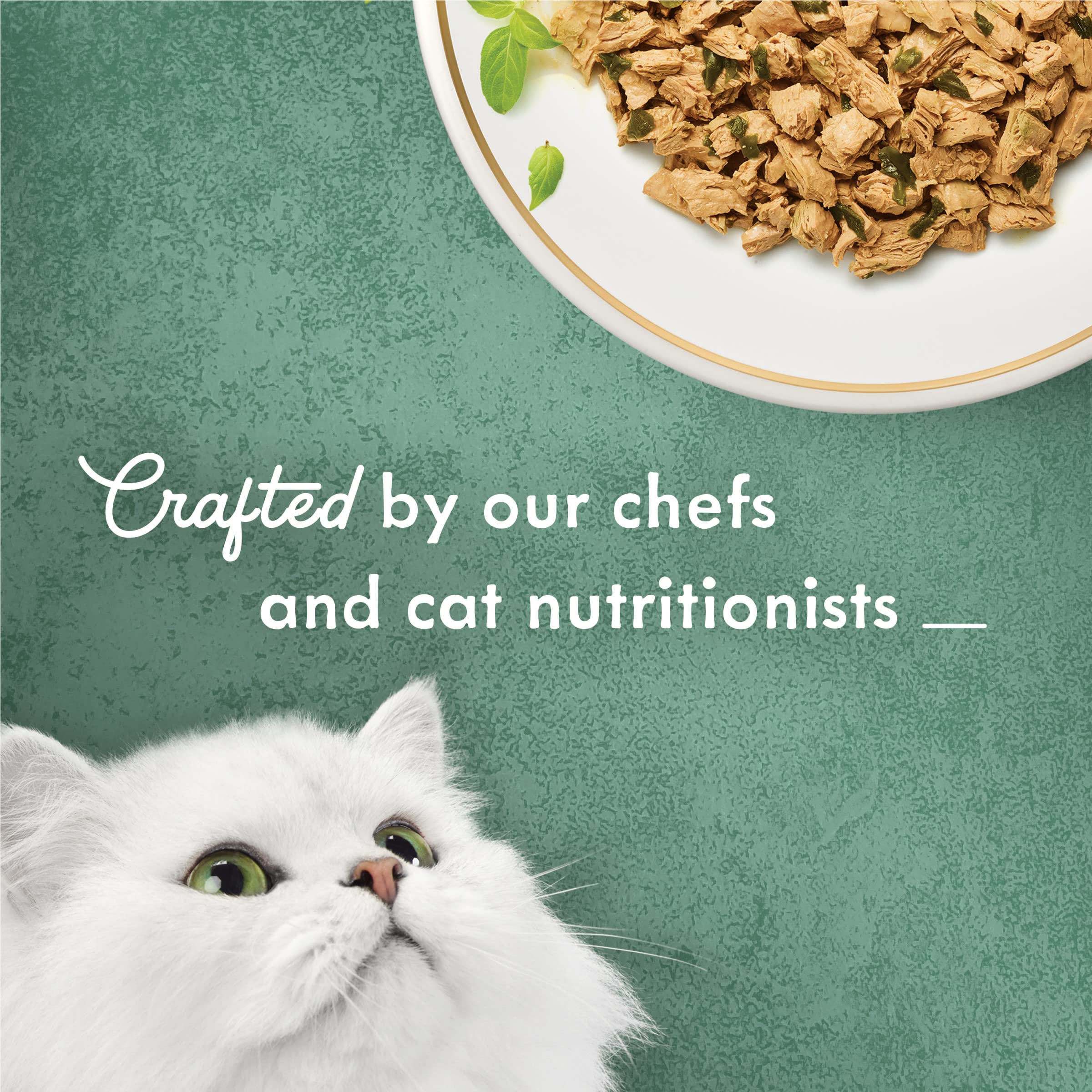 Fancy Feast mano junto a lata para comparar tamaño práctico