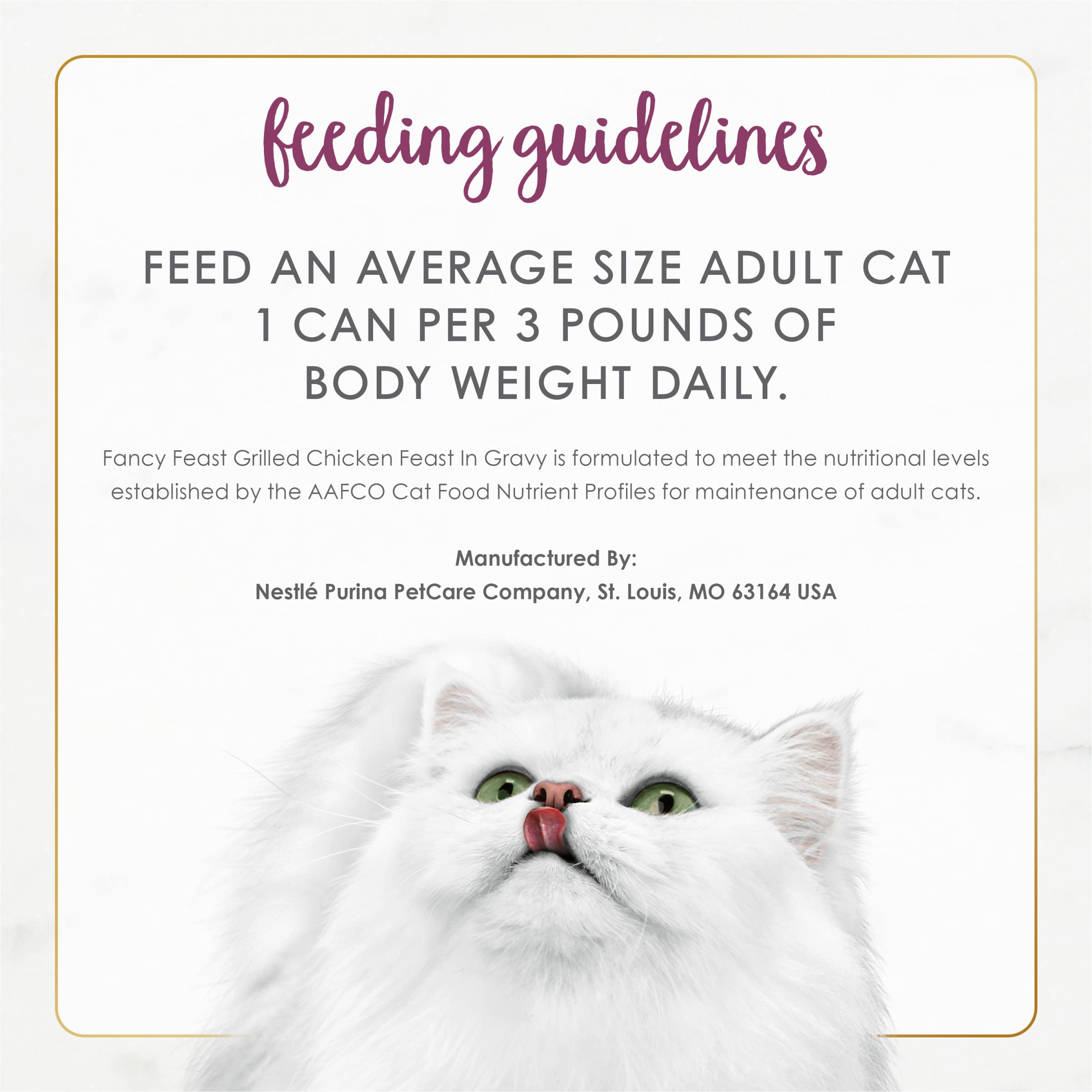 Fancy Feast lata junto a mano para comparar tamaño, muestra porción individual