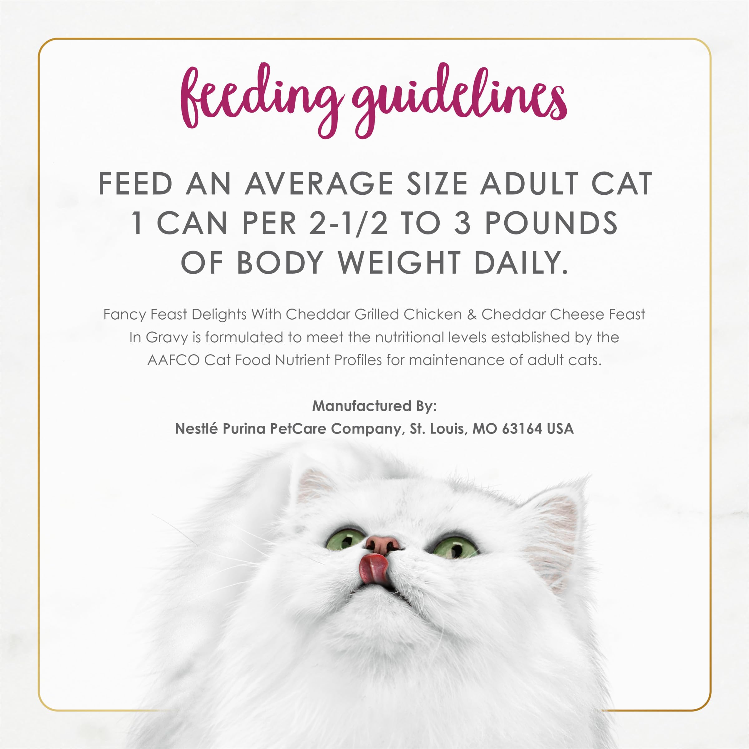 Fancy Feast lata junto a mano para comparar tamaño práctico