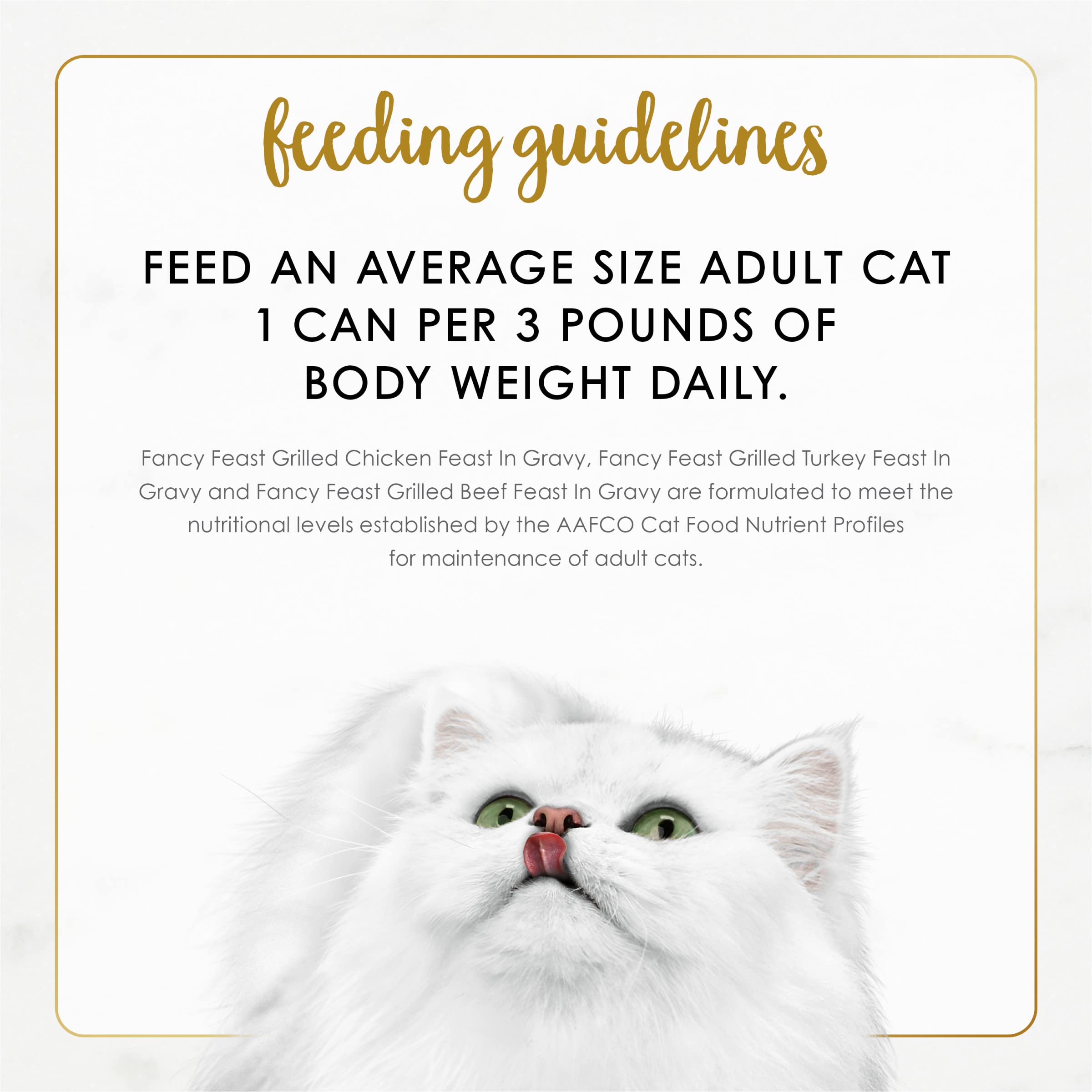 Fancy Feast detalle de ingredientes reales que resaltan la calidad
