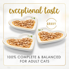 Fancy Feast primer plano de trozos y textura apetecible
