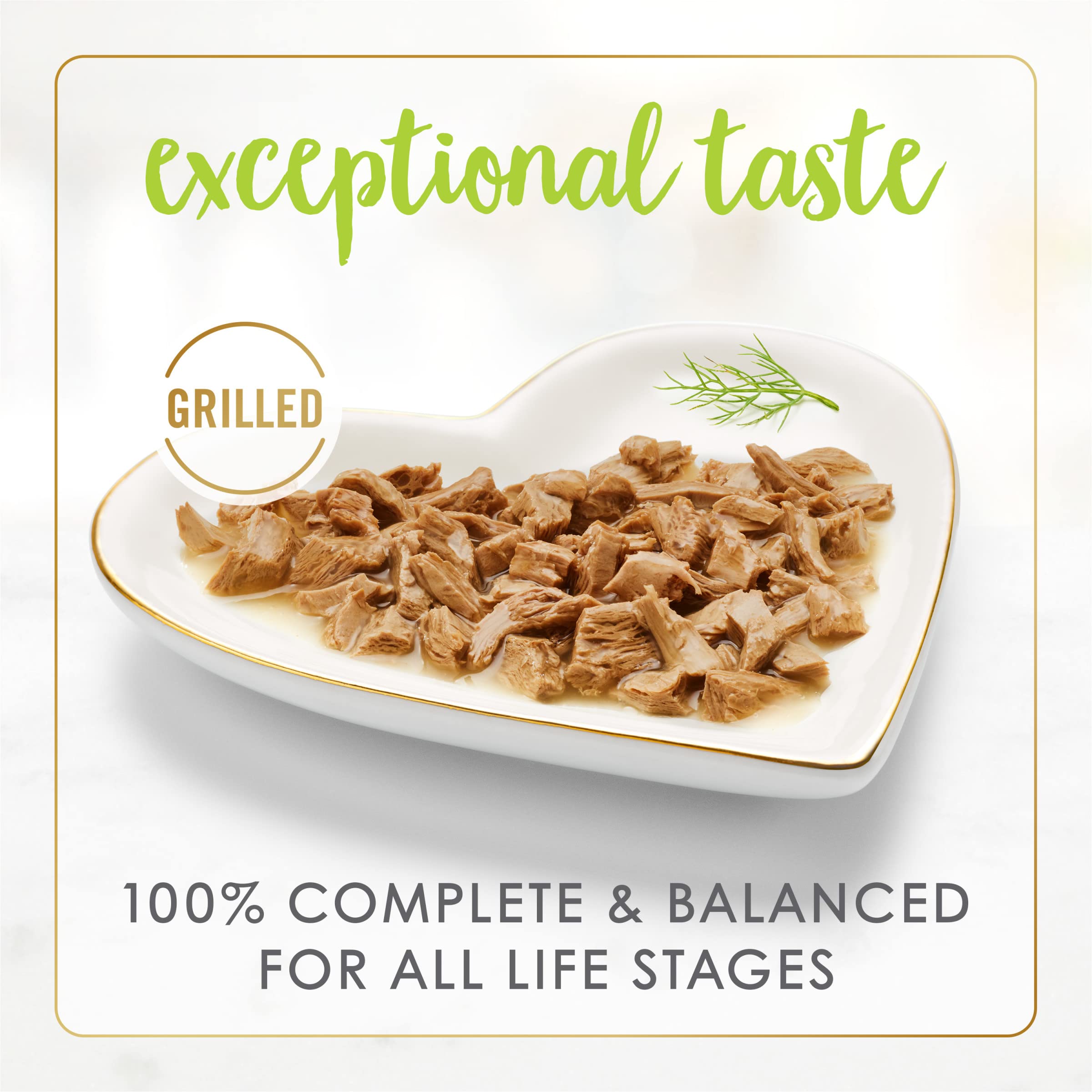 Fancy Feast lata en mano para comparar tamaño y porción práctica
