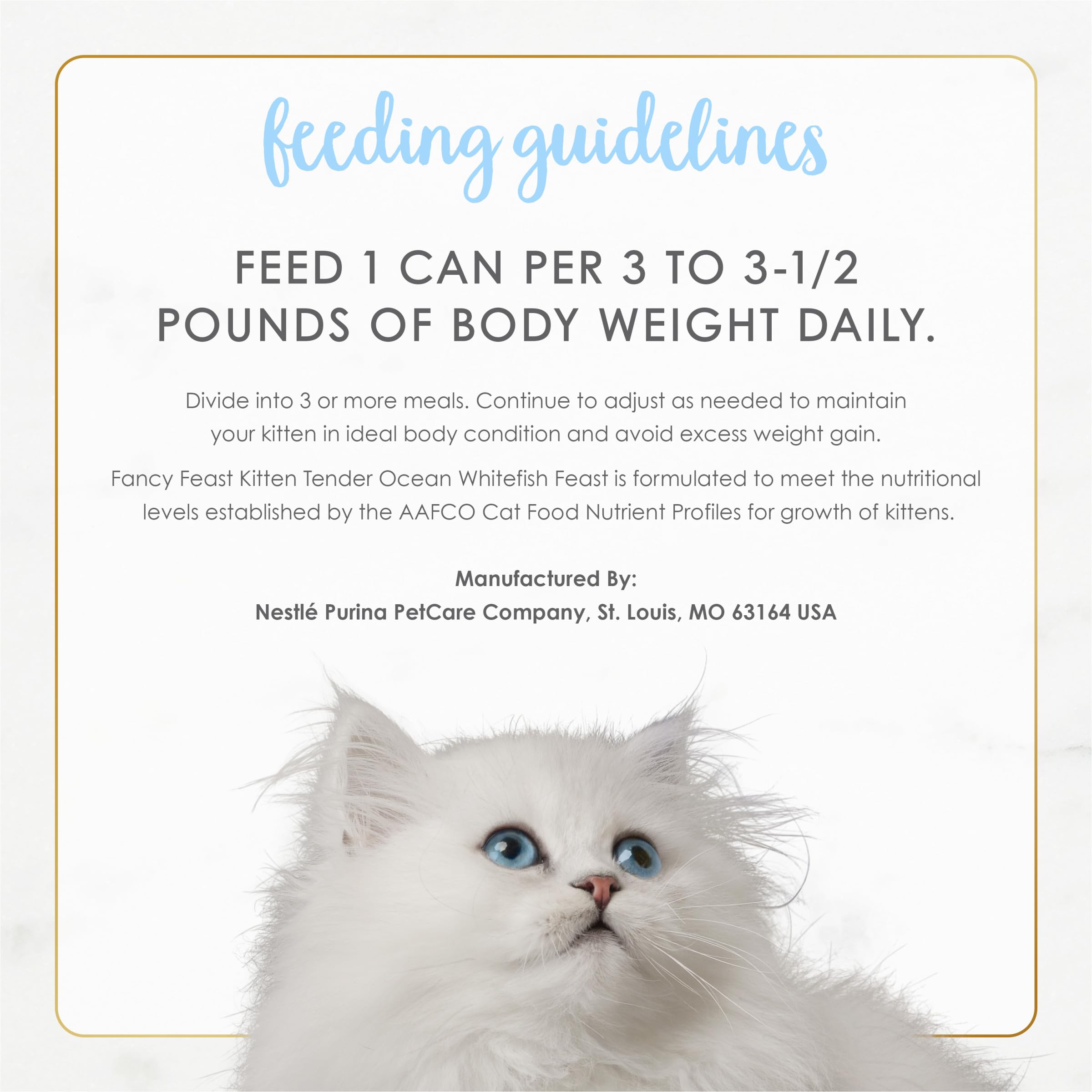 Fancy Feast escena doméstica con gatito feliz, momento de comida reconfortante