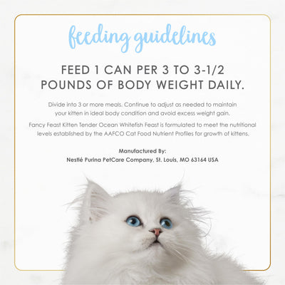 Fancy Feast escena doméstica con gatito feliz, momento de comida reconfortante