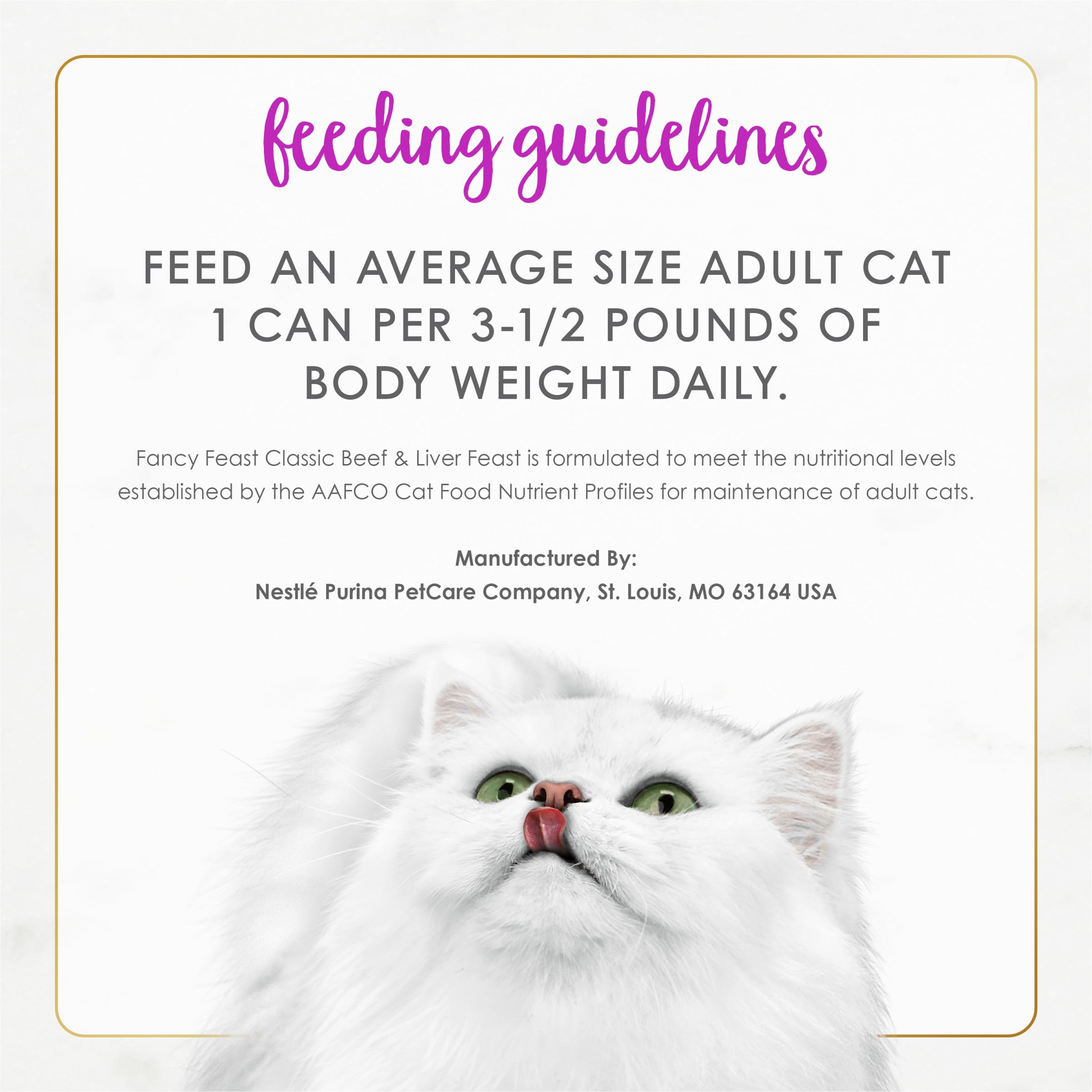 Fancy Feast gato comiendo, imagen de aceptación y disfrute