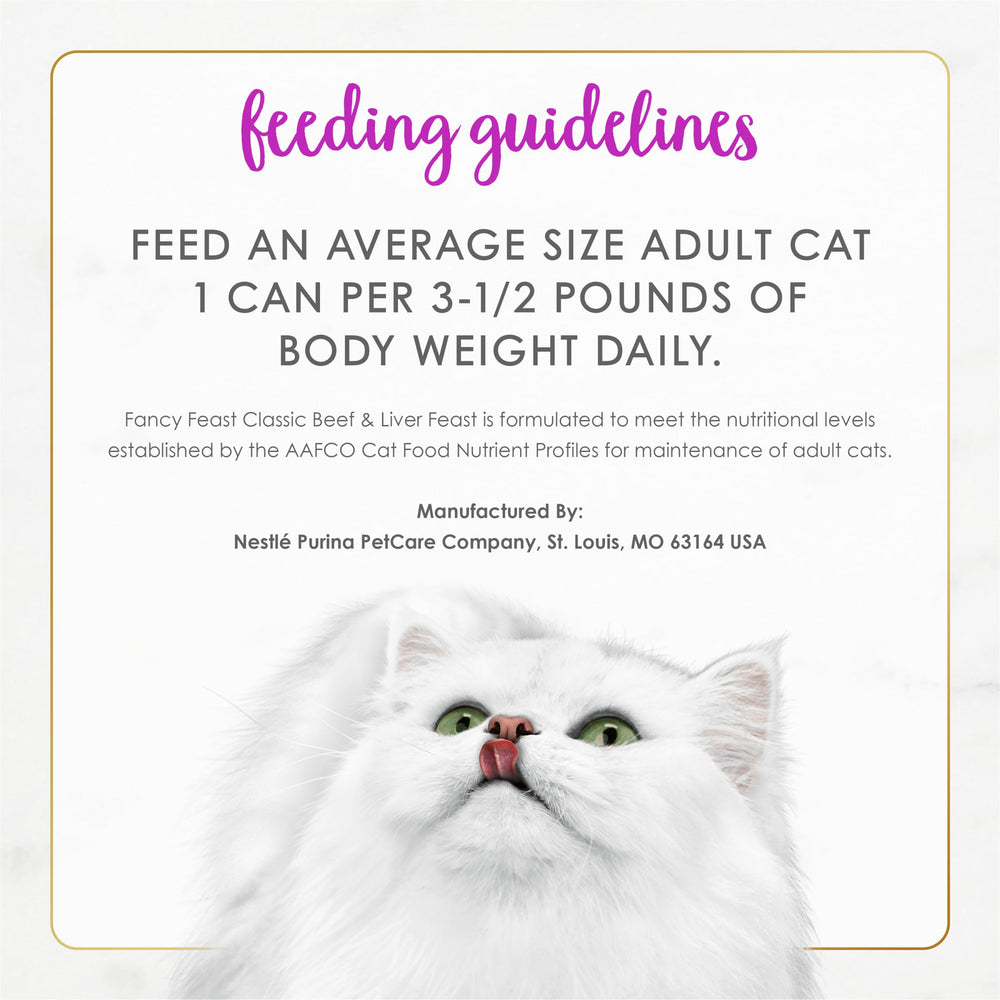 Fancy Feast gato comiendo, imagen de aceptación y disfrute
