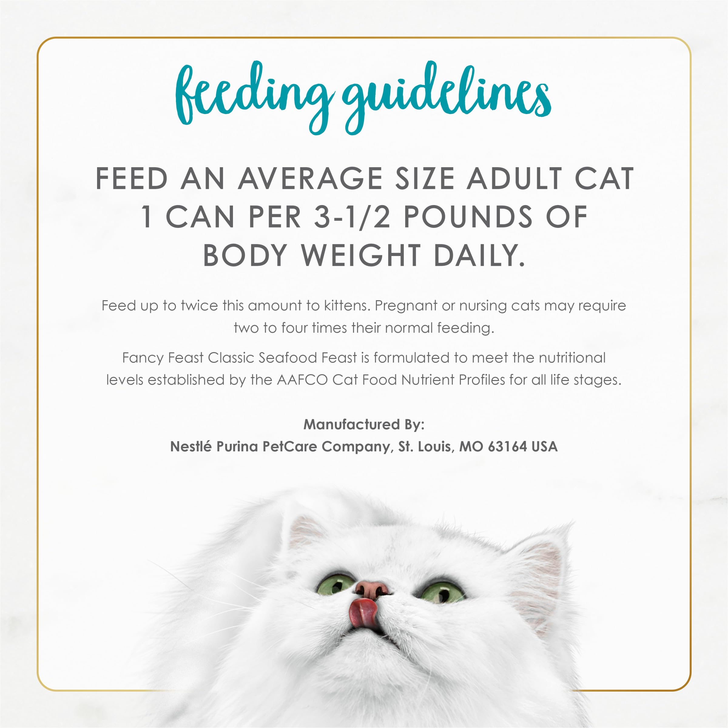 Fancy Feast gato comiendo, aceptación y disfrute del alimento