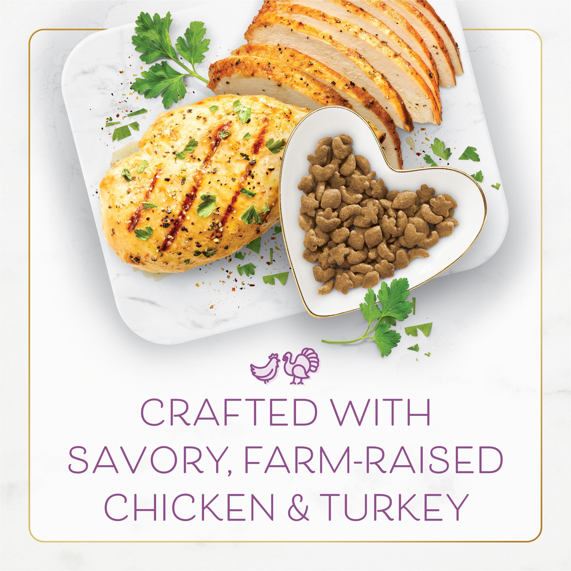 Ingredientes reales pollo y pavo en primer plano junto a croquetas Fancy Feast, sabor auténtico