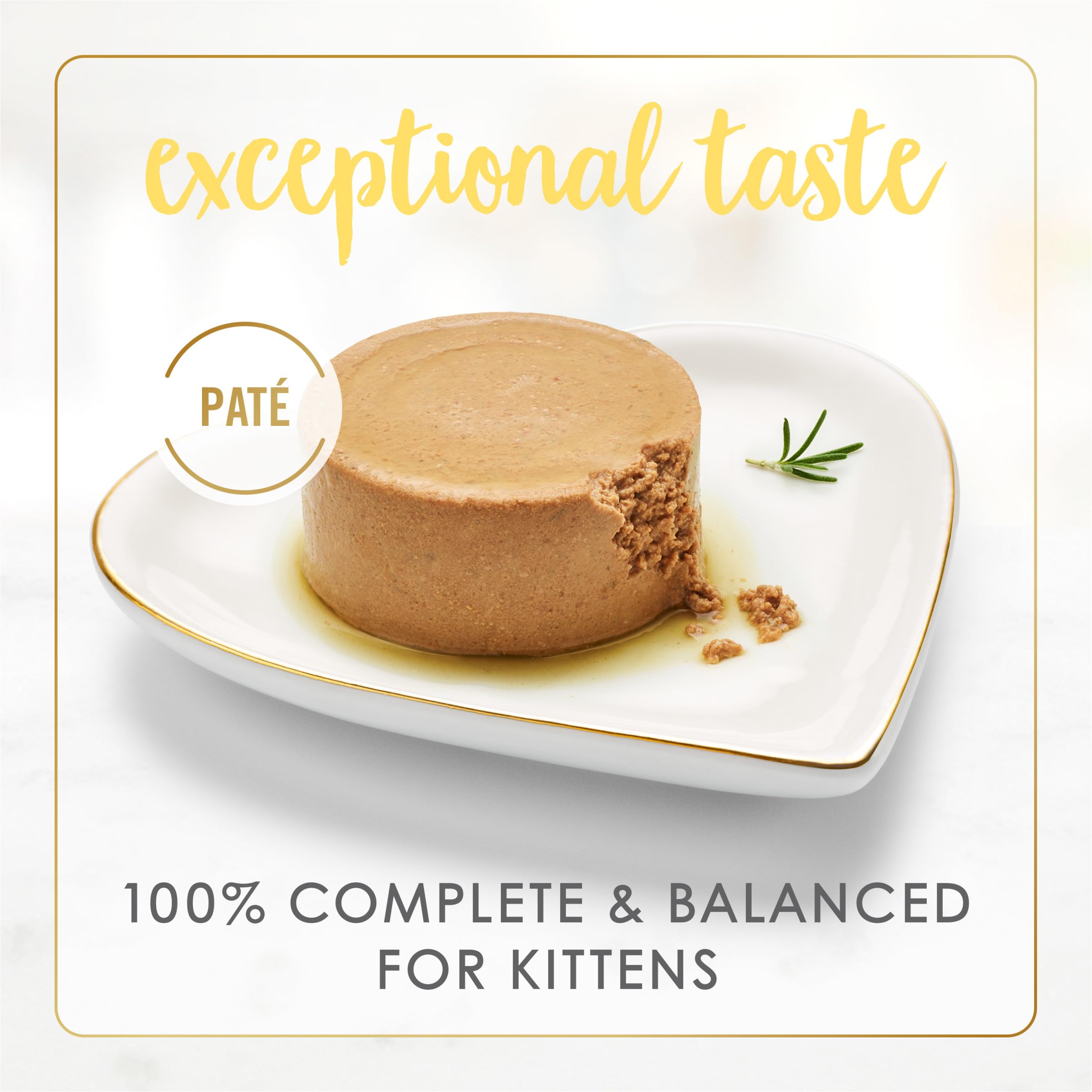 Fancy Feast kitten salmon close-up of real salmon ingredient highlighting high-protein benefit