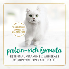 Fancy Feast lata abierta servida en plato, presentación lista para el gato