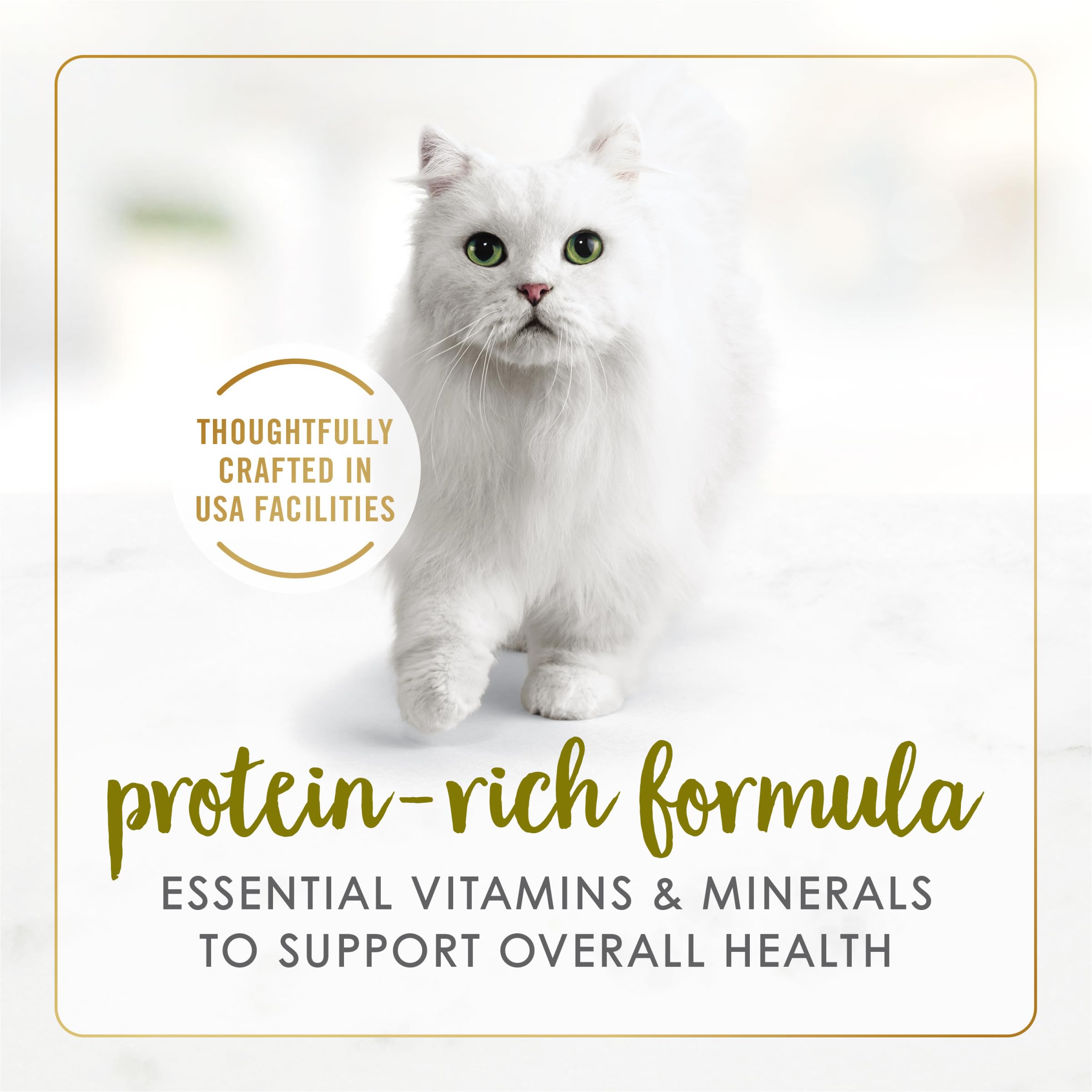 Fancy Feast lata abierta servida en plato, gratificante para el gato