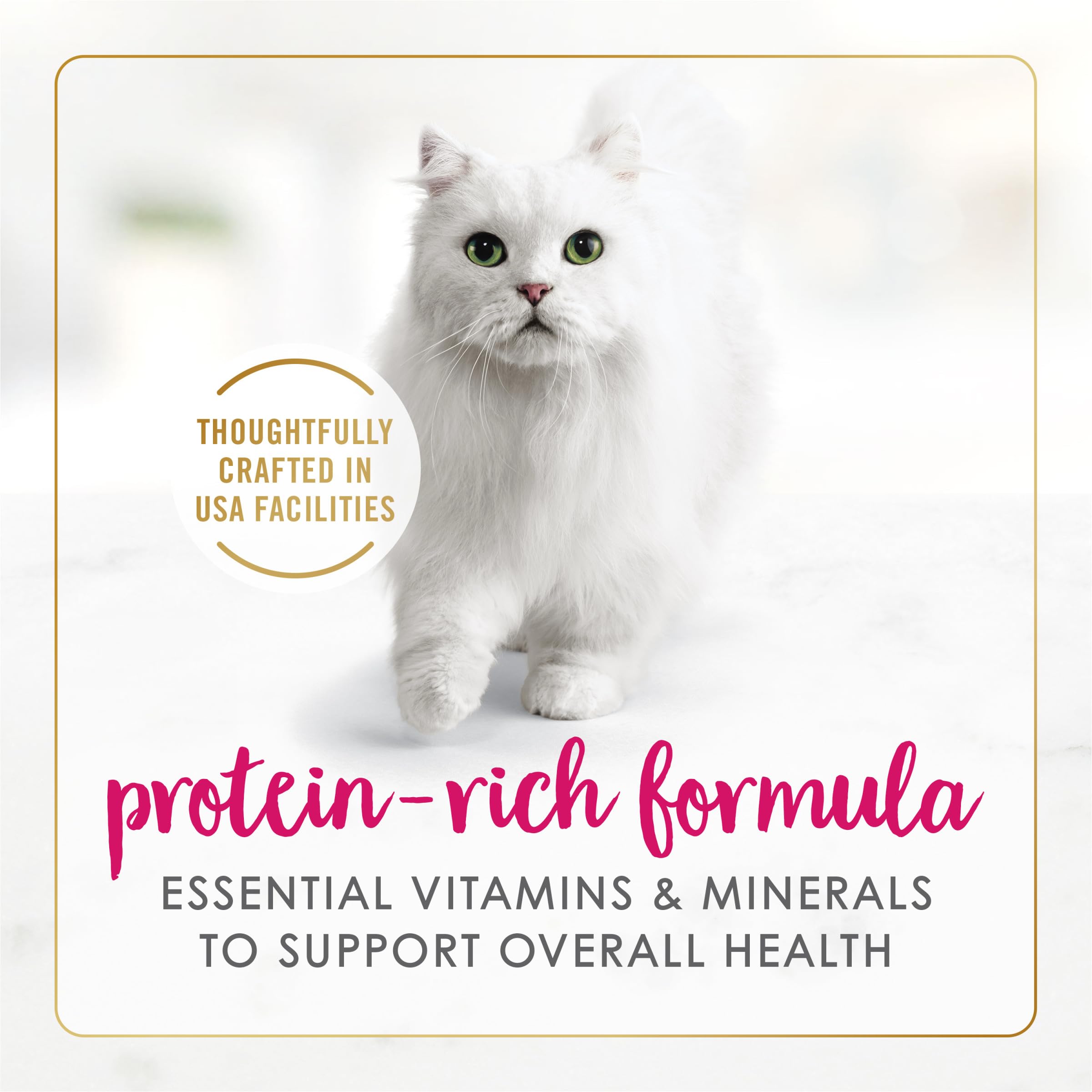 Fancy Feast lata abierta revelando el pate apetitoso y fácil de servir