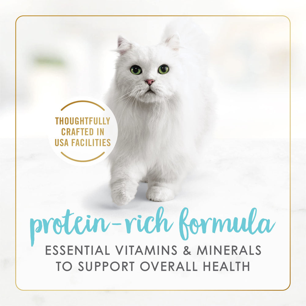 Fancy Feast lata abierta servida en un plato, lista para que el gato disfrute