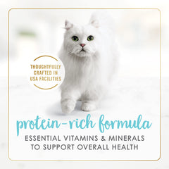 Fancy Feast lata abierta servida en un plato, lista para que el gato disfrute