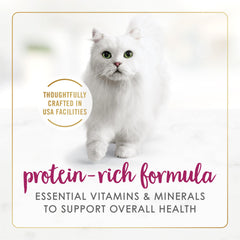 Fancy Feast lata abierta mostrando contenido listo para servir