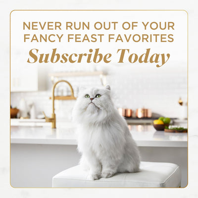Fancy Feast gato comiendo en ambiente hogareño, promueve disfrute