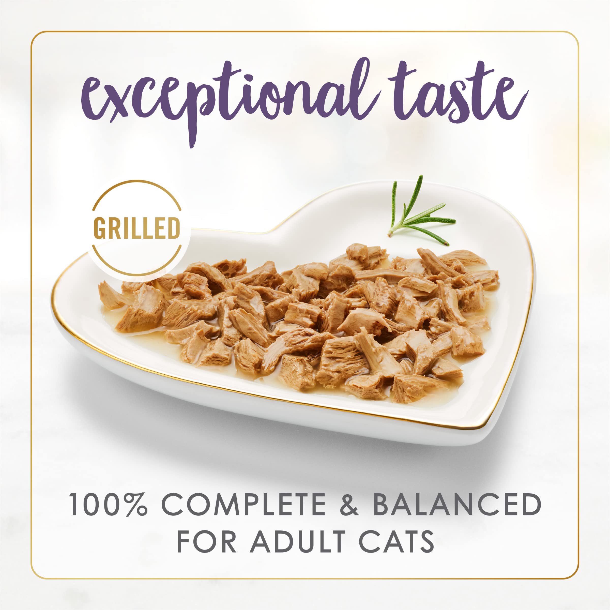 Fancy Feast porción servida en plato lista para el gato