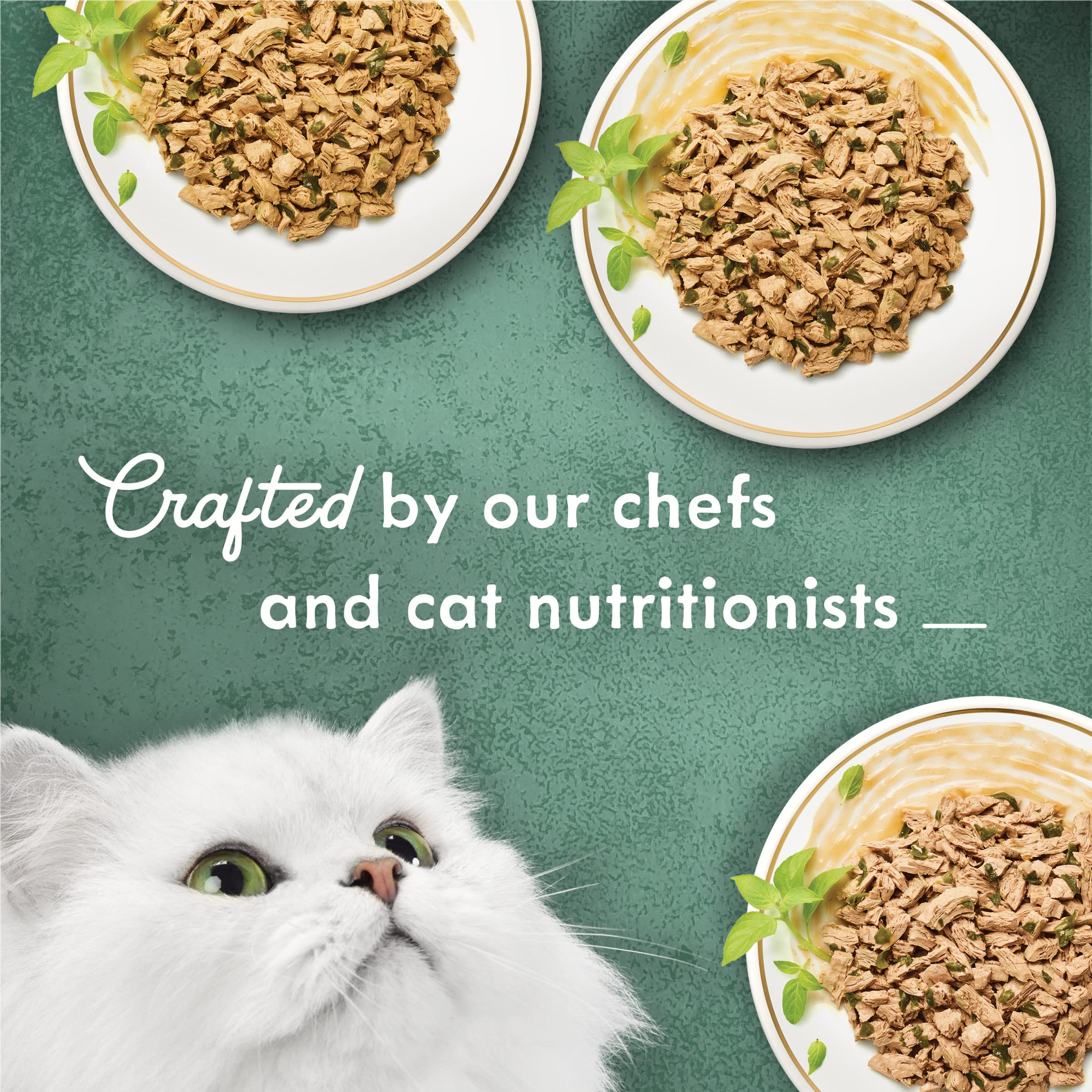 Fancy Feast pollo desmenuzado en plato, digestible y sabroso