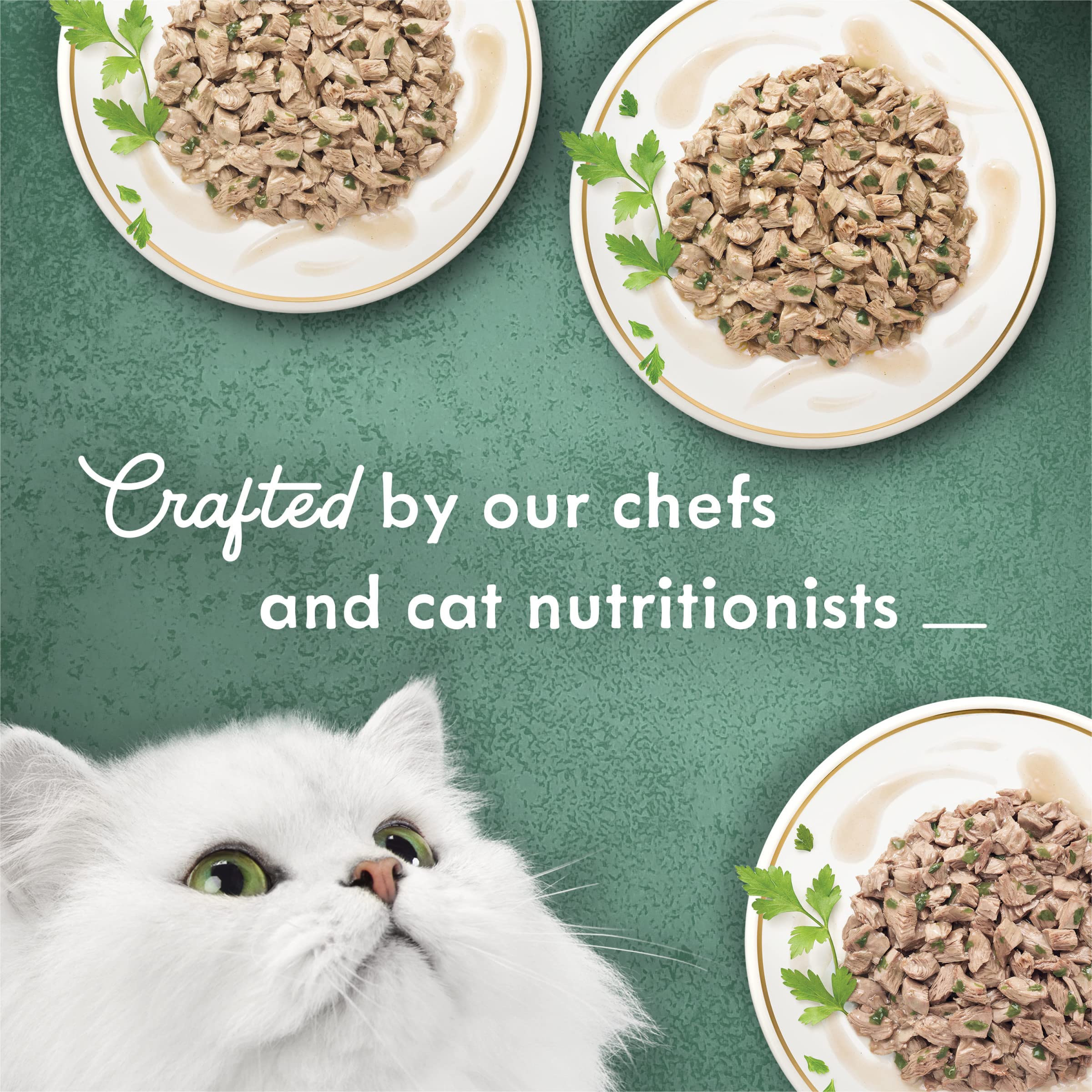 Fancy Feast Purina Medleys Florentine white meat chicken in bowl showing soft texture